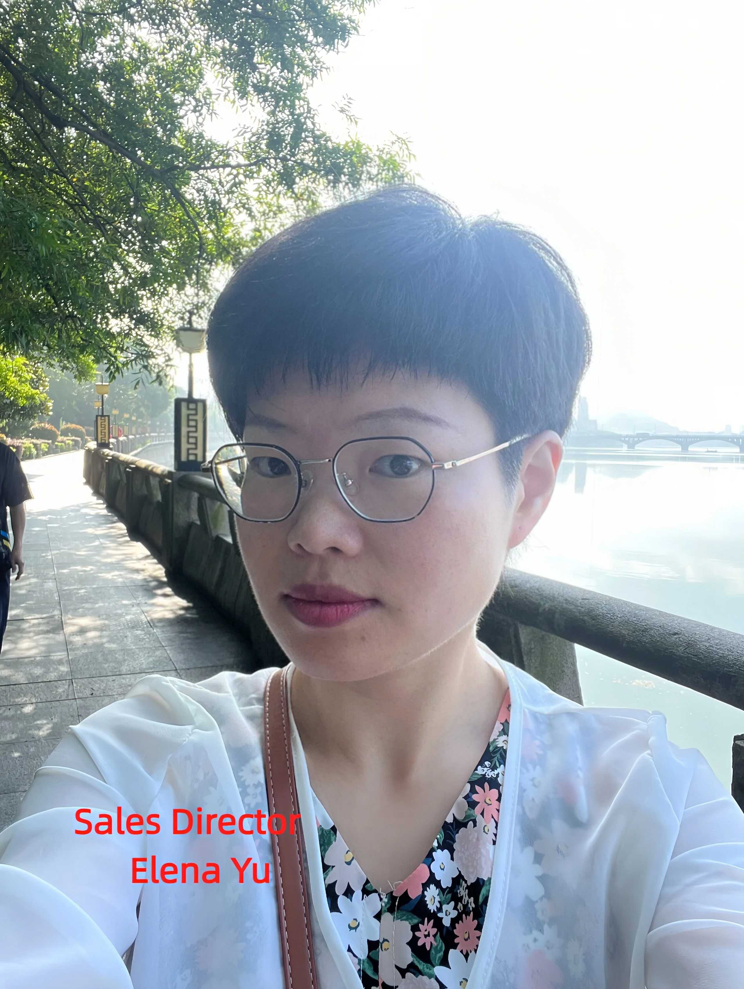 Sales Director   Elena Yu